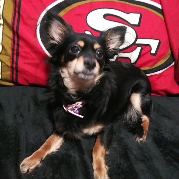 Please read before purchasing from Me🐾 - Picture 2 of 4